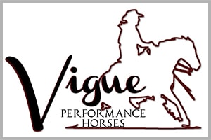 Vigue Performance Horses