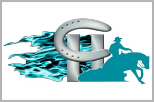 Hull Performance Horses